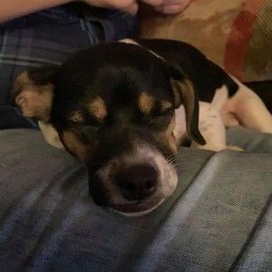 Meet your Posher, Carley